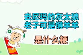 去尼玛的灰太狼，老子可是懒羊羊是什么梗？