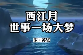 《西江月·世事一场大梦》原文加译文视频封面