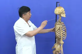 人体骨关节解刨学：4.1.脊柱视频封面
