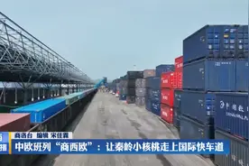 中欧班列“商西欧”：让秦岭小核桃走上国际快车道视频封面