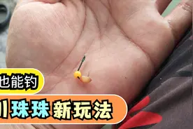 闷热阴雨天没有鱼口怎么办？珠珠加谷麦大鲤鱼疯狂咬钩！简单实用