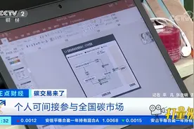 碳交易来了！个人可间接参与全国碳市场|正点财经