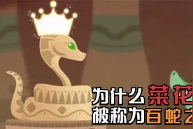 菜花蛇无毒，凭什么被称为“蛇王”，难道它真有这么厉害吗？视频封面