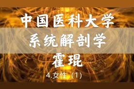 4.系统解剖学-女性（1）【转载】视频封面