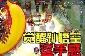 觉醒之战：1000钻才抽到的猴，这手感，棍子都甩飞了视频封面