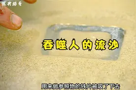 吞噬人的流沙视频封面