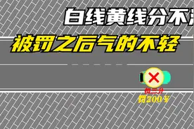 白线和黄线总是分不清，走错直接被罚，看完这个视频让你不在被罚视频封面