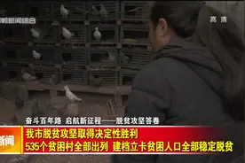 邯郸535个贫困村全部出列 建档立卡贫困人口全部稳定脱贫