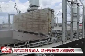 大量进口乌克兰廉价粮食涌入 欧洲多国农民遭损失视频封面