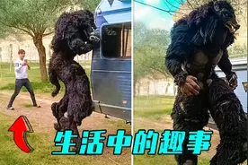 8件生活中发生的趣事，生活已经这么难了，要学会自己找乐子！视频封面