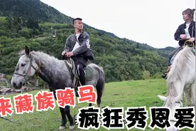 温州情侣到藏族牧场骑马，马背上疯狂秀恩爱，当地人都听不下去了视频封面