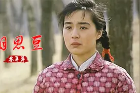 怀旧金曲！林翠萍一首《相思豆》经典好听，唱出满满的回忆