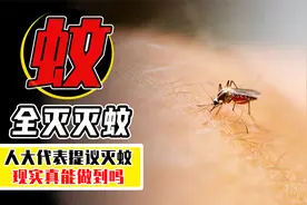 全面消灭蚊子现实吗？如果我们灭绝了蚊子，世界会发生什么变化？