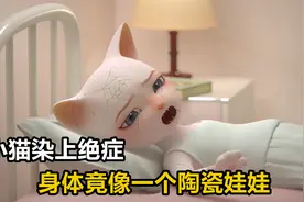 小猫染上绝症，身体竟像一个陶瓷娃娃，轻轻一触碰就会碎裂视频封面
