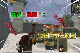 蓝一：听说这把枪是“神器”？五级一下一枪秒，我真是服了！