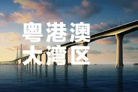 樊纲：粤港澳大湾区经济发展的核心动力及区域发展潜力视频封面