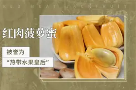 红肉菠萝蜜——被誉为“热带水果皇后”视频封面