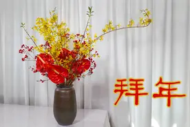 【大叔说花】瓶插花54/春节瓶插花红掌腊梅连翘/祝大家新年快乐！视频封面