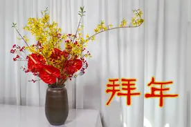 【大叔说花】瓶插花54/春节瓶插花红掌腊梅连翘/祝大家新年快乐！视频封面