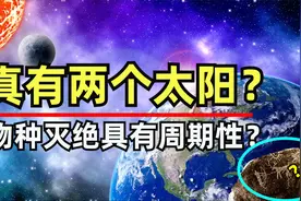 2600万年一个轮回？最新的科学假说解释了物种灭绝，还有两个太阳视频封面