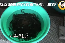 大叔吃泥鳅的方式很特别；生吞视频封面