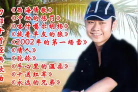 刀郎十首经典歌曲《西海情歌》《冲动的惩罚》《喀什噶尔胡杨》视频封面