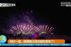 废弃矿坑变身网红打卡点，江苏园博园邀你来赏“沉浸式”烟花秀！视频封面