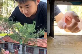 大三男生用暑假时间，做出爷爷奶奶老院子模型，场面感动人心爆暖视频封面