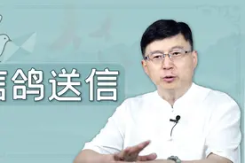 古代都用信鸽送信，鸽子怎么知道送到哪？其实利用了天性而已视频封面
