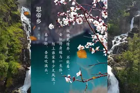韦庄《思帝乡》春日游，杏花吹满头。陌上谁家年少，足风流视频封面