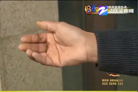 杭州：搬货划伤两个手指 在货拉拉平台买过保险 医药费能否全赔？视频封面