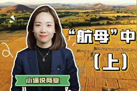 从小粮商逆袭全球第一！端牢14亿国人饭碗的中粮，有多强？（上）视频封面