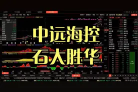 中远海控、石大胜华、主力资金简单分析视频封面