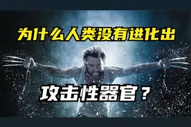 为什么人类，没有进化出明显攻击器官？视频封面