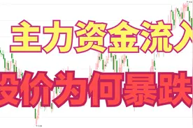 看到有资金净流入却下跌为什么?原因在这里!懂了盘口才知道视频封面