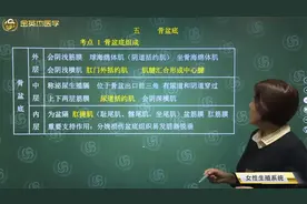 临床女性生殖系统解刨05骨盆底的组成，会阴的位置、组成及特点视频封面