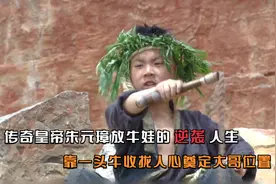 传奇皇帝朱元璋放牛娃的逆袭人生,靠一头牛收拢人心奠定大哥位置视频封面