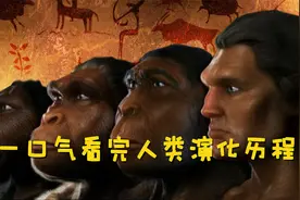 一口气看完人类从6500万年前到如今的演化历程！视频封面