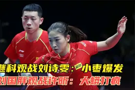 许昕刘诗雯混双经典逆转：19年世巡赛全球总决赛！小枣爆，大蟒疯视频封面