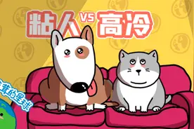 【毛茸茸小知识】为什么狗粘人猫高冷？