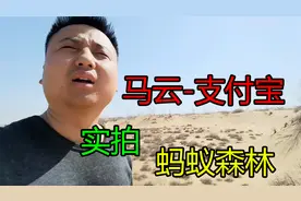 支付宝的蚂蚁森林是忽悠人吗？带你去沙漠里，考察现场真实情况视频封面