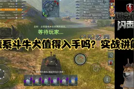 【毛毛WOTB】德系斗牛犬值得入手吗？实战讲解视频封面