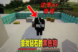 我的世界：玩家在游戏中遇到一只黑色狗狗！视频封面