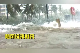 百慕大三角洲的秘密：从容不迫！的哥经历多场飓风，经验十分丰富视频封面