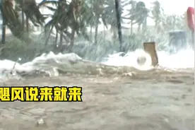 百慕大三角洲的秘密：从容不迫！的哥经历多场飓风，经验十分丰富视频封面