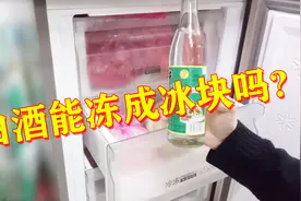 把白酒放进冰箱冷冻4小时，会结冰吗？是否还能点燃？视频封面