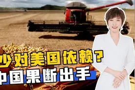 减少对美国依赖？中国果断出手，罕见从巴西进口玉米视频封面