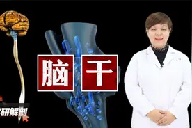 生命中枢所在位置，脑干，人体解剖学神经系统视频封面