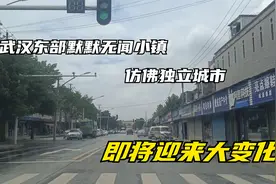 武汉的东部有一个默默无闻的小镇，仿佛独立城市，即将迎来大变化视频封面