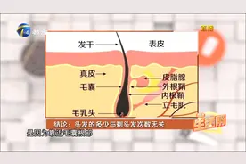 经常剃头，可以让宝宝头发越长越好？这是真的吗？视频封面